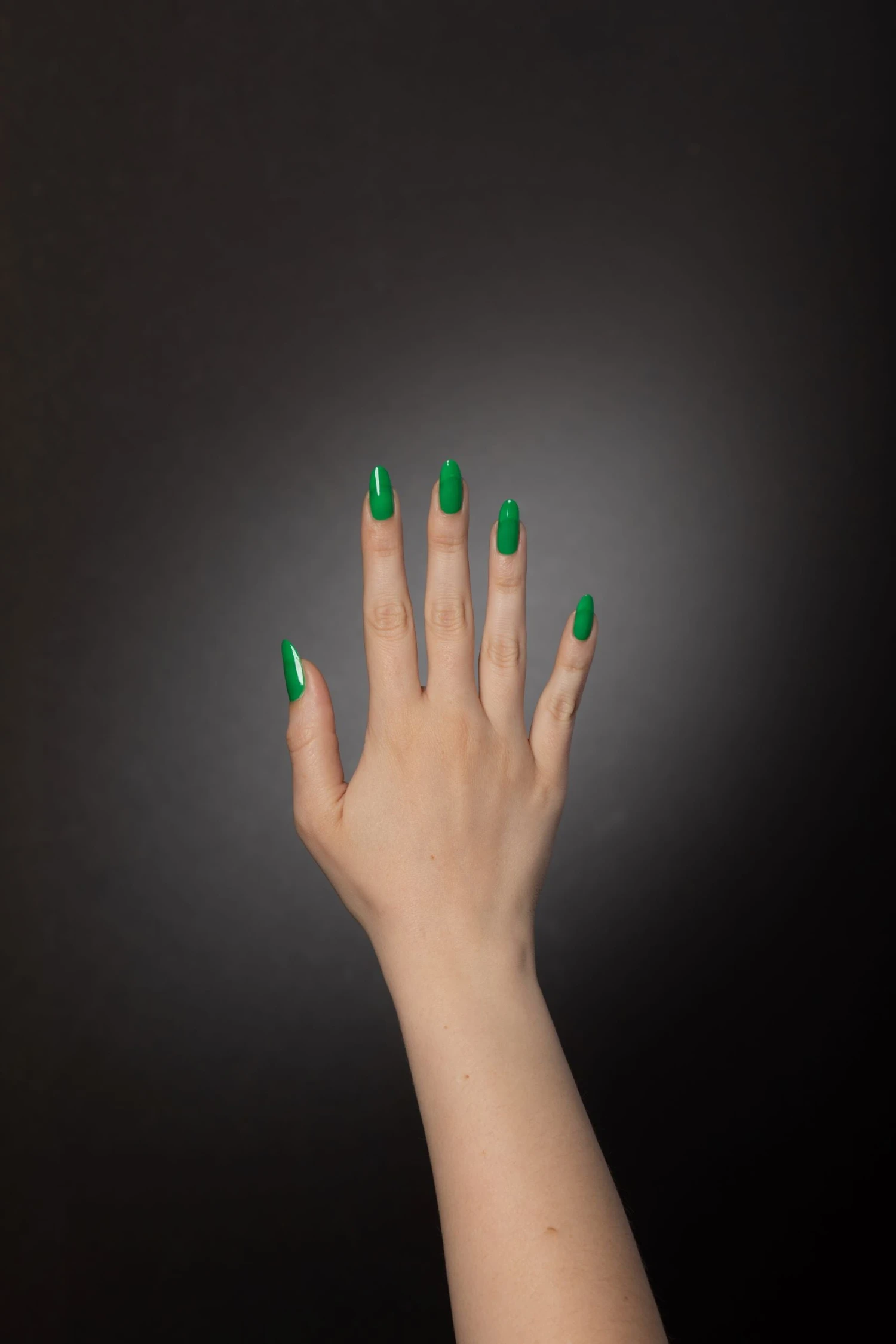 Fame Mini Kit - Image 3