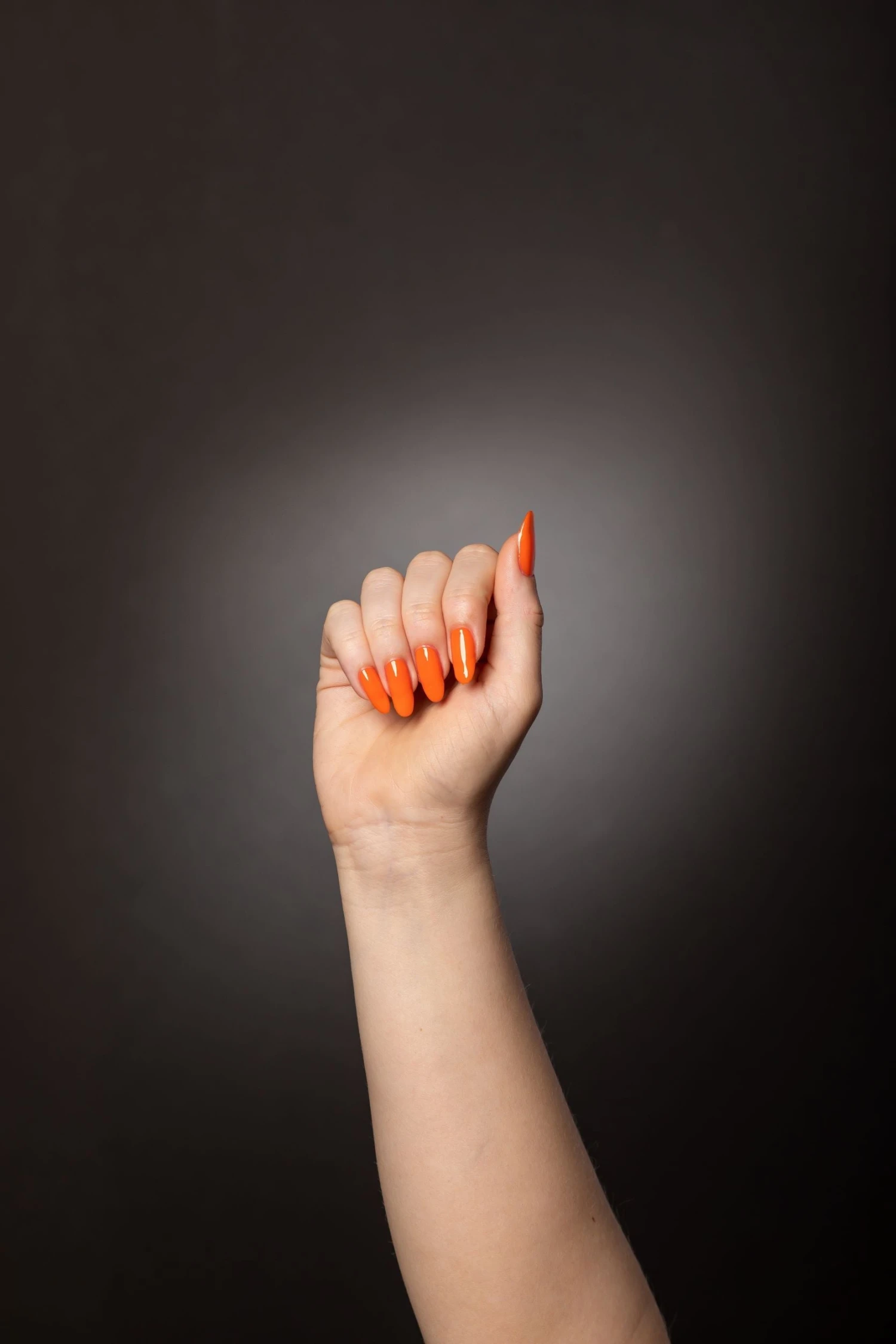 Rebel System Kit Virtual Bundle - Image 3