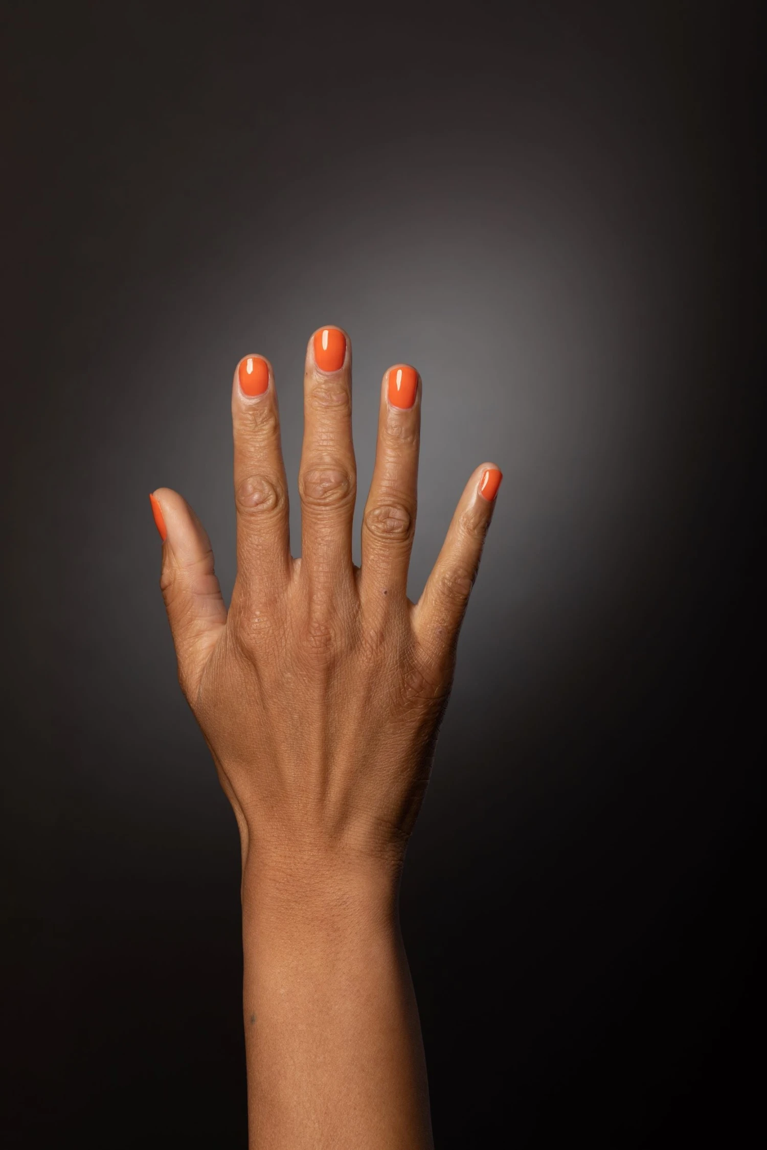 Rebel System Kit Virtual Bundle - Image 4