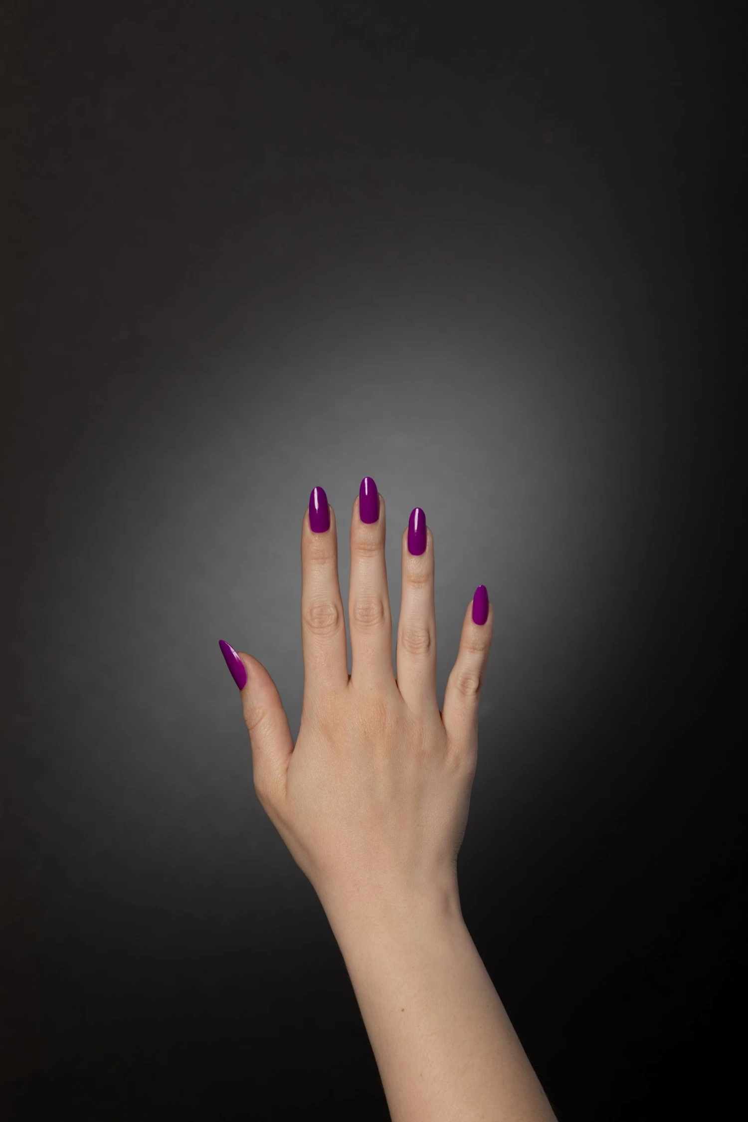 Violet Velvet Mini Kit - Image 3